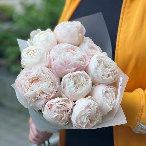 11 peonies in a bouquet «Peony Ice cream», Flowers: Paeonia
