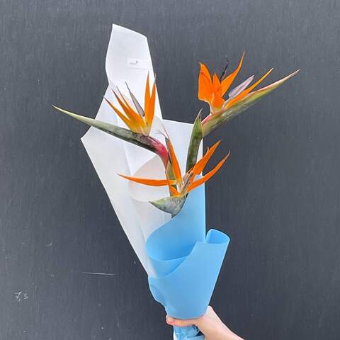 Photo of 3 strelitzias in a bouquet «Birds for you»