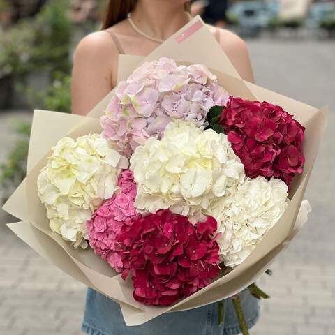 7 Dutch hydrangeas in a bouquet «July melody», Flowers: Hydrangea, 7 pcs.