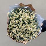 Photo of Bouquet «Sunny tanacetum»