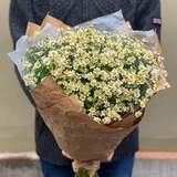 Photo of Bouquet «Sunny tanacetum»