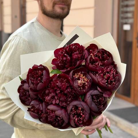 Photo of Bouquet of 11 rich burgundy peonies «Cherry in chocolate»