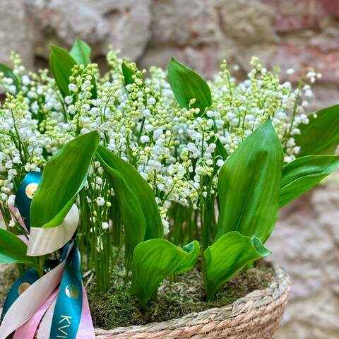 Photo of Spring composition of lilies of the valley «Fragrant rhapsody»