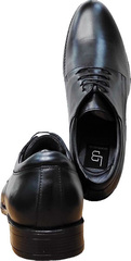Мужские модельные туфли на шнуровке Luciano Bellini 23KF810 Black Leather.
