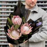 Photo of Bouquet of 3 king proteas «Princess' stars»