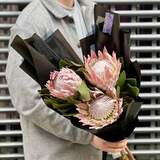 Photo of Bouquet of 3 king proteas «Princess' stars»