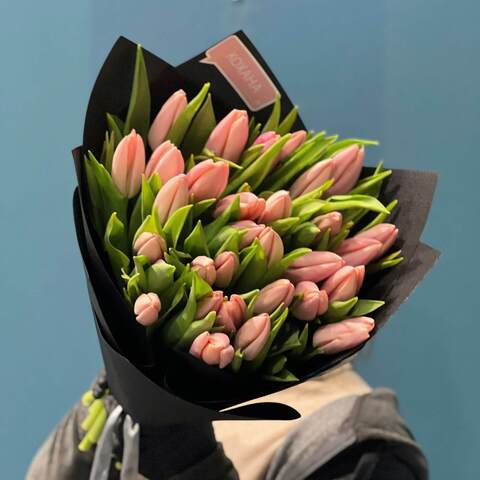31 премиальный тюльпан Тиз Бутс, Цветы: Тюльпан