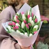 Photo of 35 tulips «Spring»