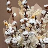 Photo of Bouquet «Flaming cotton»