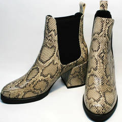 Ботинки челси женские Kluchini 13065 k465 Snake.