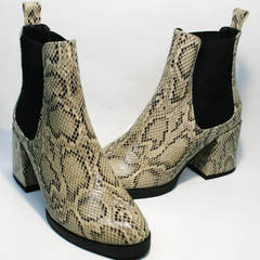Ботинки челси женские на каблуке демисезонные Kluchini 13065 k465 Snake.