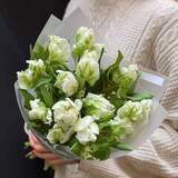 Photo of 15 tulips in a bouquet «Green Parrot»