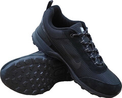 Черные мужские кроссовки Nike Pegasus Trail GTE Run Black A 2739-5.