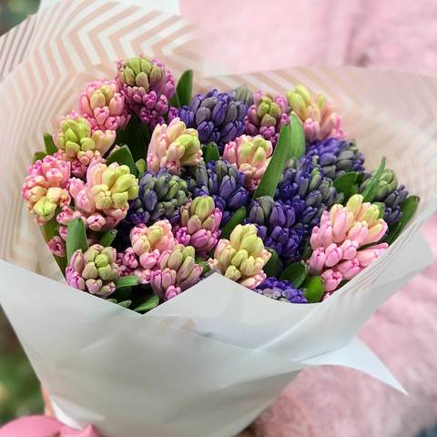 Photo of Mix of 25 Hyacinths