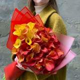 Photo of 51 calla lilies «Hot Heart»
