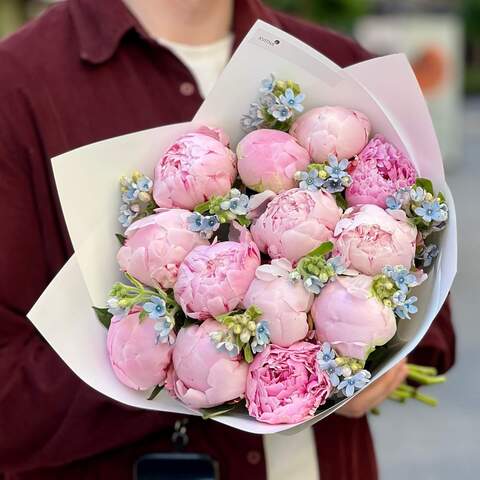 Delicate bouquet of peonies and oxypetalum «Morning Stars», Flowers: Oxypetalum, Paeonia