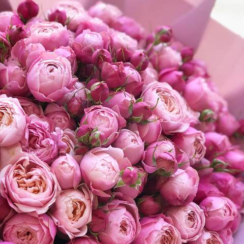 Photo of 19 зeony Spray Roses in a bouquet «Gentle Kiss»
