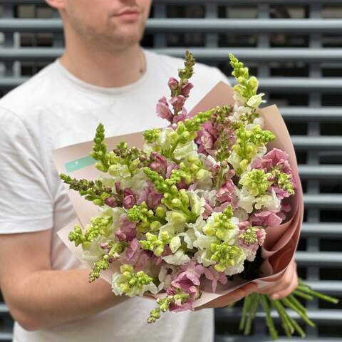 31 antirrhinums in a bouquet «Summer flowers», Flowers: Antirinum