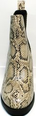 Ботинки женские демисезонные кожаные Kluchini 13065 k465 Snake.