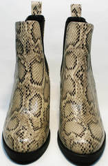 Женские весенние ботинки челси Kluchini 13065 k465 Snake.