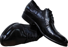 Классические кожаные туфли дерби Rossini Roberto 2YR1158 Black Leather.