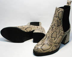 Осенние ботинки женские на каблуке Kluchini 13065 k465 Snake.