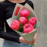 Photo of 5 Coral Charm peonies