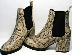 Женские ботинки на среднем каблуке весна осень Kluchini 13065 k465 Snake.
