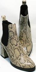 Женские ботинки из натуральной кожи демисезонные Kluchini 13065 k465 Snake.