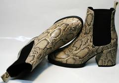 Молодежные женские ботинки весенне осенние Kluchini 13065 k465 Snake.