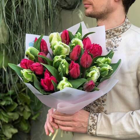 Микс из 25 тюльпанов «Свежесть», Цветы: Тюльпан