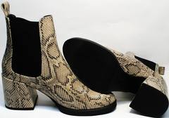 Элегантные женские ботинки челси Kluchini 13065 k465 Snake.