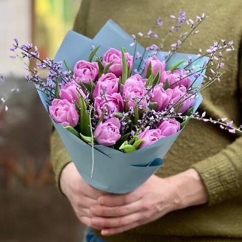 Фіолетовий букет тюльпанів з геністою «Сон на весні», Квіти: Тюльпан піоновидний, Геніста