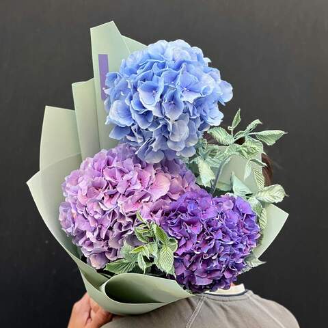 3 hydrangeas in a bouquet «Menthol breath», Flowers: Hydrangea, Raspberry twigs