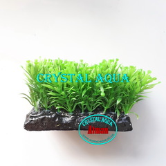 Растение Атман PP-110C, 10см