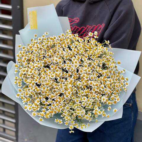 Bouquet «Chamomile September», Flowers: Tanacetum