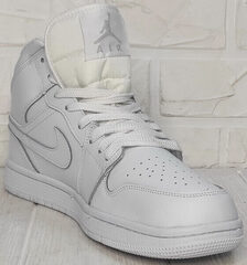 Мужские осенние кроссовки термо Nike Air Jordan A806-1 All White.