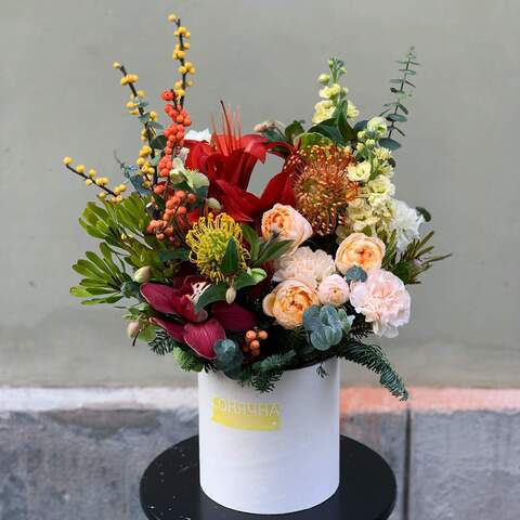 Flowers in a box «Colorful punch», Flowers: Pion-shaped rose, Cymbidium, Ilex, Leucospermum, Hippeastrum, Matthiola, Dianthus, Eucalyptus, Rose