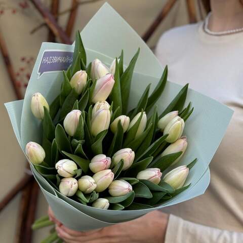 25 light tulips in a bouquet «Marshmallow Tenderness», Flowers: Tulipa, 25 pcs.