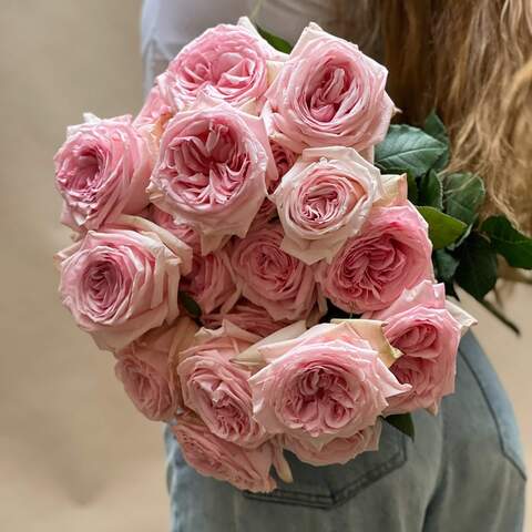 Photo of Romantic and fragrant Pink O'Hara peony roses
