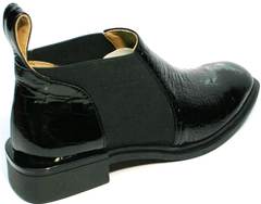 Женские туфли полуботинки челси Ari Andano 721-2 Black Snake.