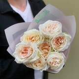 Photo of 7 White O'Hara peony roses