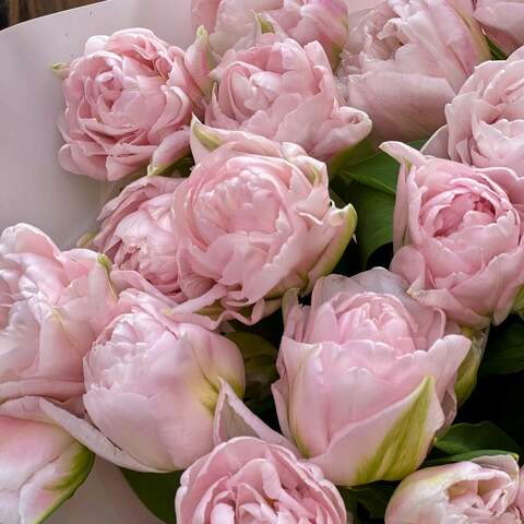 Photo of Charming bouquet of 17 delicate tulips «Pink pearls»