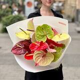 Photo of 19 anthuriums in a bouquet «Exotic flowers»