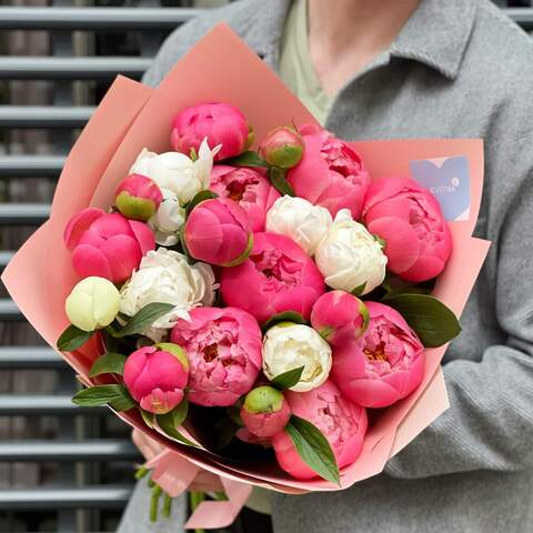 Photo of 21 peonies in a mix «Candy»