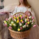 Photo of Romantic basket of juicy tulips mix «Spring Dawns»