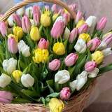 Photo of Romantic basket of juicy tulips mix «Spring Dawns»