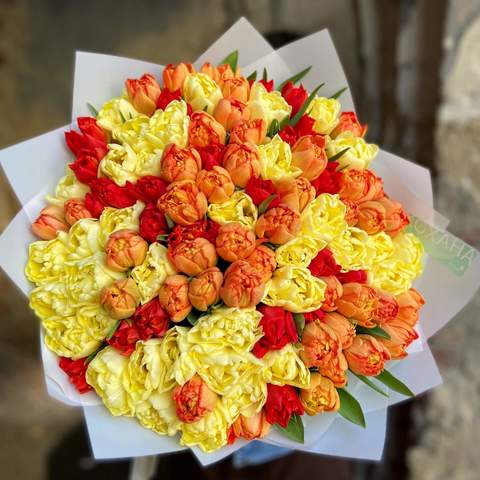 101 пионовидный тюльпан «Огненное солнце»