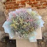 Photo of 25 branches of colorful gypsophila «Colored cloud»