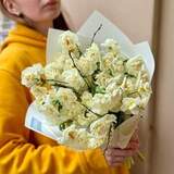 Photo of Bouquet of daffodils and prunus «Fragrant vesnyanka»